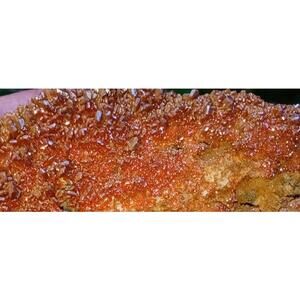 Vanadinite crystal,  vanadinite crystals, crystal cluster, raw crystals